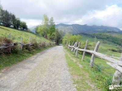 Parque Natural Ponga-Puente de Mayo;camping selva irati foros montaña visitar lagunas de ruidera gru